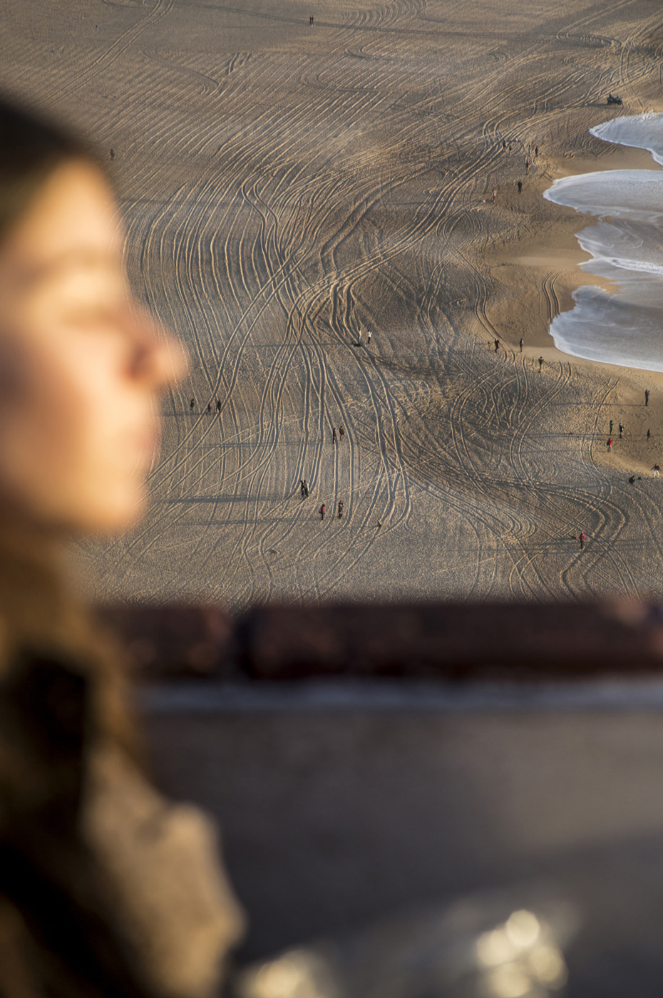 Ikona Gallery - Archivio Naturale - Filippo Romano